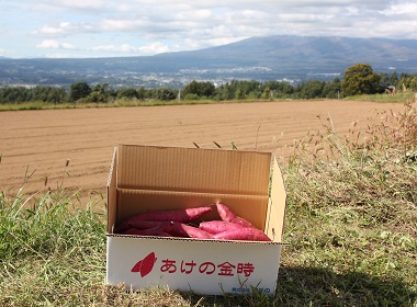 株式会社あけの