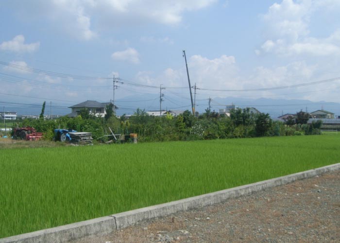 昭和町の植木置き場までお気軽に見に来てください