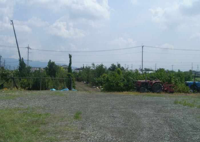 昭和町の植木置き場までお気軽に見に来てください